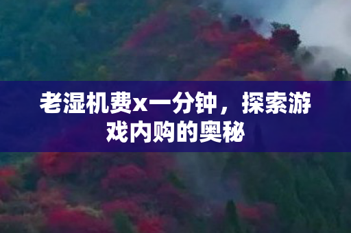 老湿机费x一分钟,探索游戏内购的奥秘 老湿机费x一分钟,探索游戏内购的奥秘
