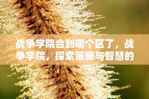 战争学院合到哪个区了,战争学院,探索策略与智慧的殿堂 战争学院合到哪个区了,战争学院,探索策略与智慧的殿堂