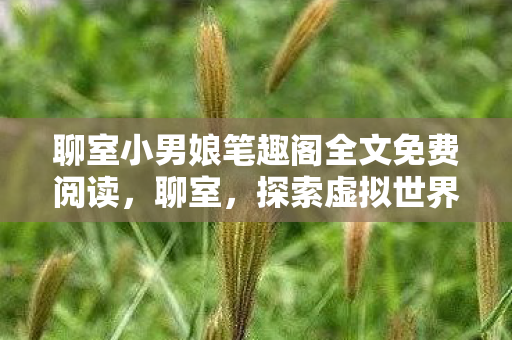 聊室小男娘笔趣阁全文免费阅读,聊室,探索虚拟世界的无限可能 聊室小男娘笔趣阁全文免费阅读,聊室,探索虚拟世界的无限可能