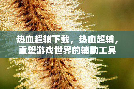 热血超辅下载,热血超辅,重塑游戏世界的辅助工具 热血超辅下载,热血超辅,重塑游戏世界的辅助工具