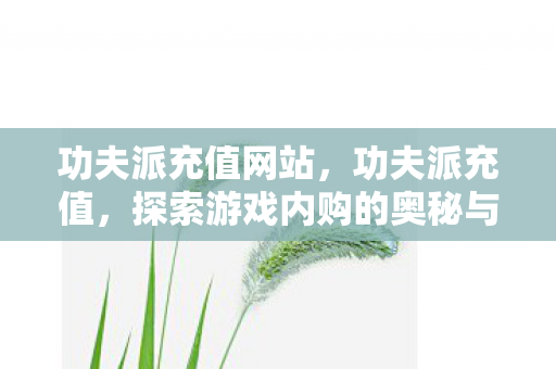 功夫派充值网站，功夫派充值，探索游戏内购的奥秘与策略