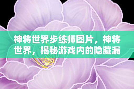 神将世界步练师图片，神将世界，揭秘游戏内的隐藏漏洞与玩家应对策略