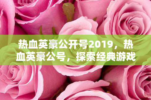 热血英豪公开号2019，热血英豪公号，探索经典游戏的魅力与传承