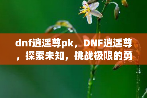 dnf逍遥尊pk,DNF逍遥尊,探索未知,挑战极限的勇士之旅 dnf逍遥尊pk,DNF逍遥尊,探索未知,挑战极限的勇士之旅