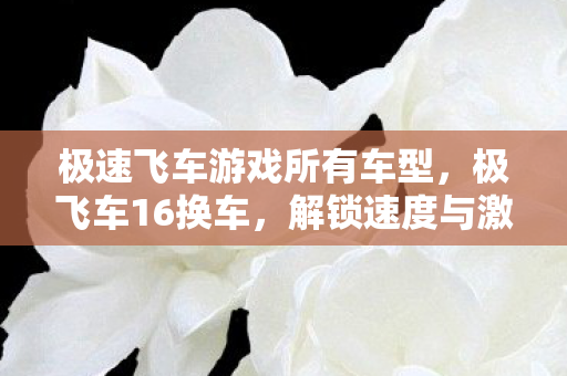 极速飞车游戏所有车型,极飞车16换车,解锁速度与激情的全新选择 极速飞车游戏所有车型,极飞车16换车,解锁速度与激情的全新选择