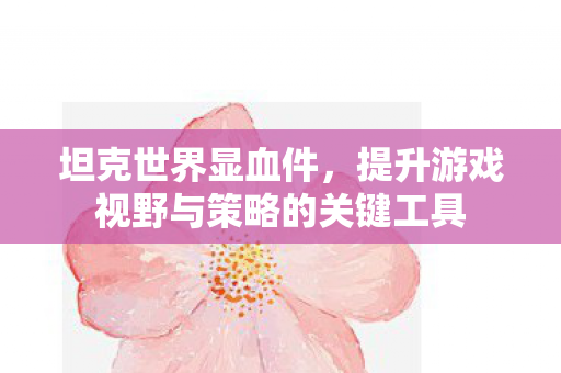 坦克世界显血件,提升游戏视野与策略的关键工具 坦克世界显血件,提升游戏视野与策略的关键工具