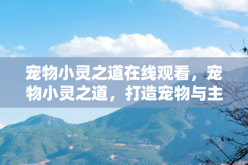 宠物小灵之道在线观看,宠物小灵之道,打造宠物与主人间的温馨互动 宠物小灵之道在线观看,宠物小灵之道,打造宠物与主人间的温馨互动