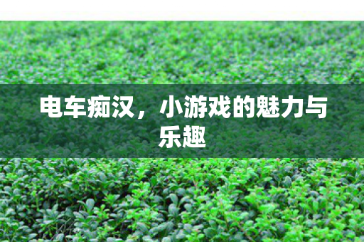 电车痴汉,小游戏的魅力与乐趣 电车痴汉,小游戏的魅力与乐趣