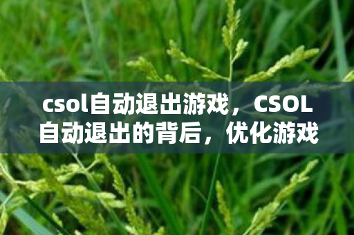 csol自动退出游戏,CSOL自动退出的背后,优化游戏环境与保障玩家体验 csol自动退出游戏,CSOL自动退出的背后,优化游戏环境与保障玩家体验