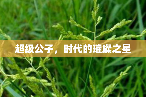 超级公子,时代的璀璨之星 超级公子,时代的璀璨之星