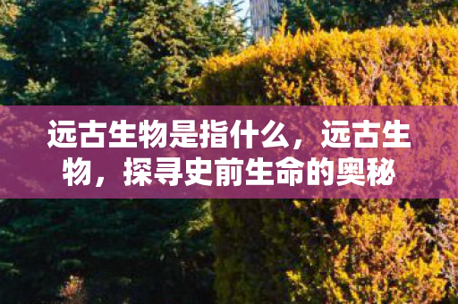 远古生物是指什么,远古生物,探寻史前生命的奥秘 远古生物是指什么,远古生物,探寻史前生命的奥秘