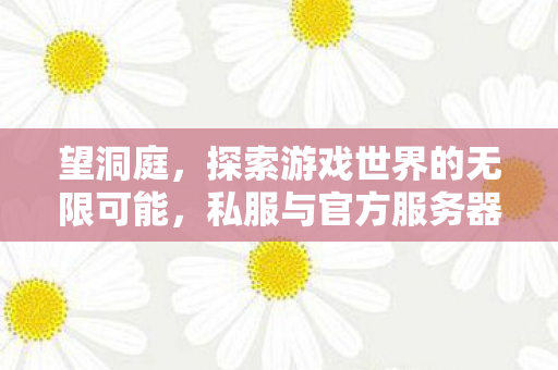 望洞庭,探索游戏世界的无限可能,私服与官方服务器的独特魅力 望洞庭,探索游戏世界的无限可能,私服与官方服务器的独特魅力