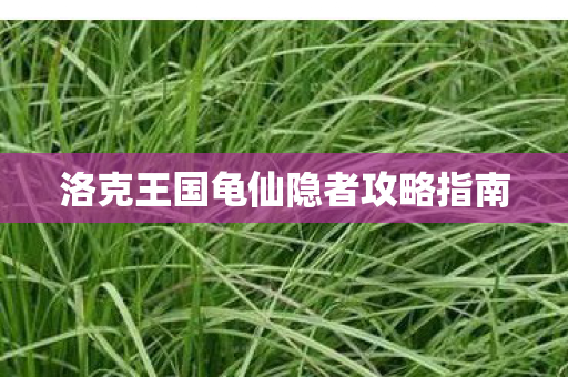 洛克王国龟仙隐者攻略指南 洛克王国龟仙隐者攻略指南