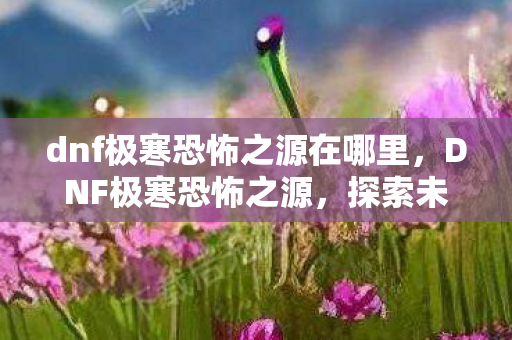 dnf极寒恐怖之源在哪里,DNF极寒恐怖之源,探索未知深渊的冒险之旅 dnf极寒恐怖之源在哪里,DNF极寒恐怖之源,探索未知深渊的冒险之旅