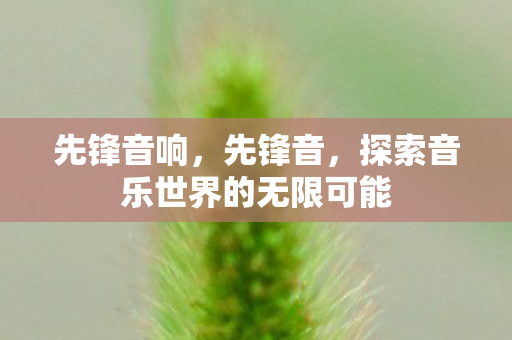 先锋音响,先锋音,探索音乐世界的无限可能 先锋音响,先锋音,探索音乐世界的无限可能