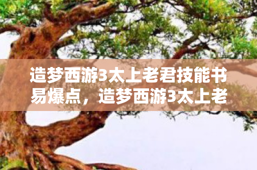 造梦西游3太上老君技能书易爆点,造梦西游3太上老君在哪 造梦西游3太上老君技能书易爆点,造梦西游3太上老君在哪