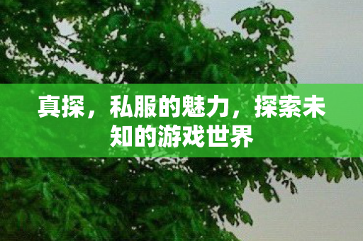 真探，私服的魅力，探索未知的游戏世界