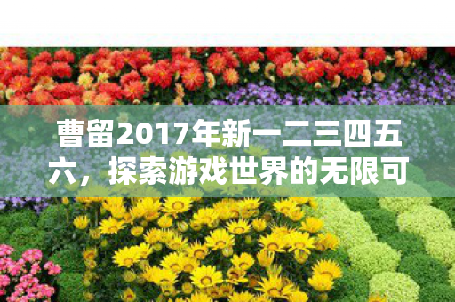 曹留2017年新一二三四五六,探索游戏世界的无限可能,私服与官方服务器的独特魅力 曹留2017年新一二三四五六,探索游戏世界的无限可能,私服与官方服务器的独特魅力