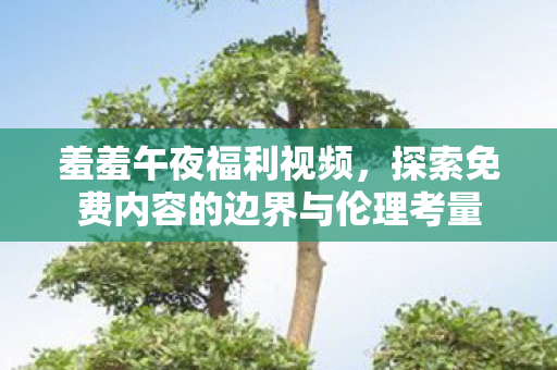羞羞午夜福利视频,探索免费内容的边界与伦理考量 羞羞午夜福利视频,探索免费内容的边界与伦理考量