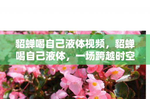 貂蝉喝自己液体视频，貂蝉喝自己液体，一场跨越时空的奇幻之旅