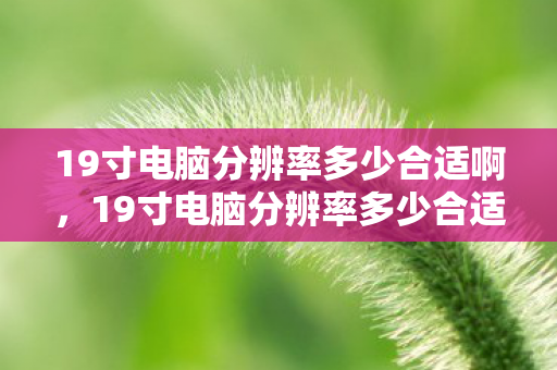 19寸电脑分辨率多少合适啊，19寸电脑分辨率多少合适