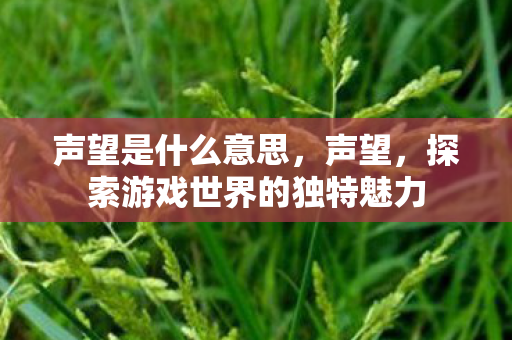 声望是什么意思,声望,探索游戏世界的独特魅力 声望是什么意思,声望,探索游戏世界的独特魅力