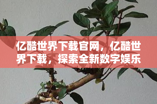 亿酷世界下载官网，亿酷世界下载，探索全新数字娱乐体验
