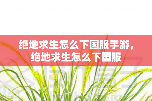 绝地求生怎么下国服手游,绝地求生怎么下国服 绝地求生怎么下国服手游,绝地求生怎么下国服