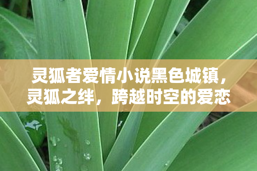 灵狐者爱情小说黑色城镇,灵狐之绊,跨越时空的爱恋 灵狐者爱情小说黑色城镇,灵狐之绊,跨越时空的爱恋