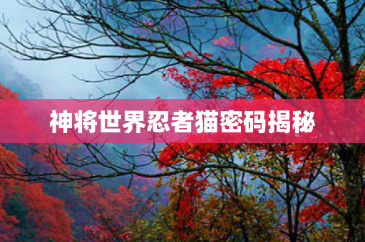 神将世界忍者猫密码揭秘 神将世界忍者猫密码揭秘