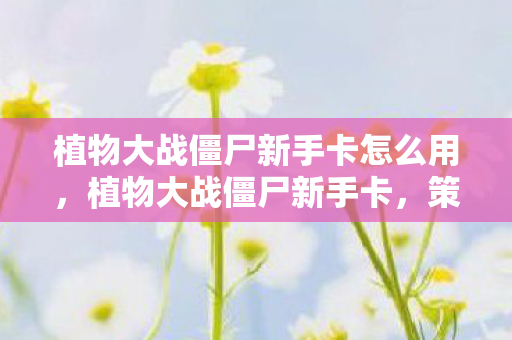 植物大战僵尸新手卡怎么用,植物大战僵尸新手卡,策略与技巧的全面指南 植物大战僵尸新手卡怎么用,植物大战僵尸新手卡,策略与技巧的全面指南