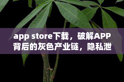 app store下载，破解APP背后的灰色产业链，隐私泄露与安全隐患