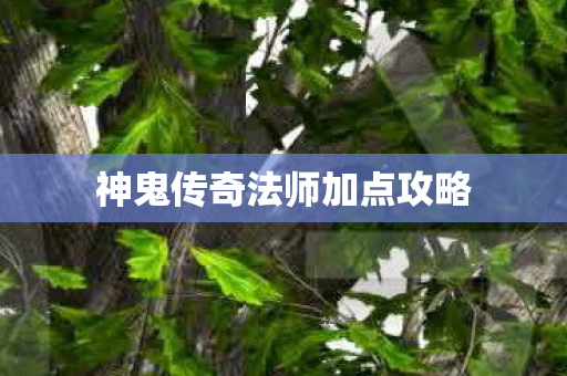 神鬼传奇法师加点攻略 神鬼传奇法师加点攻略