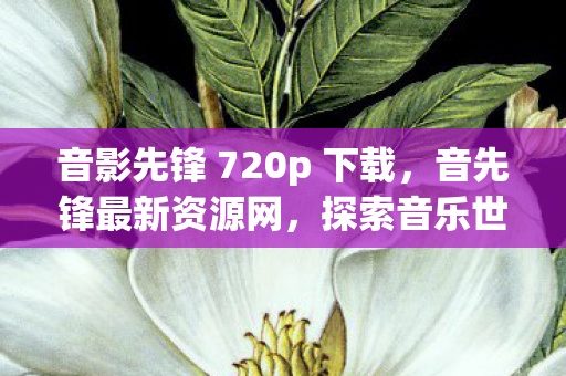 音影先锋 720p 下载，音先锋最新资源网，探索音乐世界的无限可能
