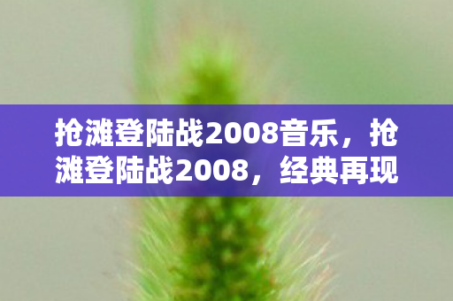 抢滩登陆战2008音乐，抢滩登陆战2008，经典再现，战略与激情的碰撞