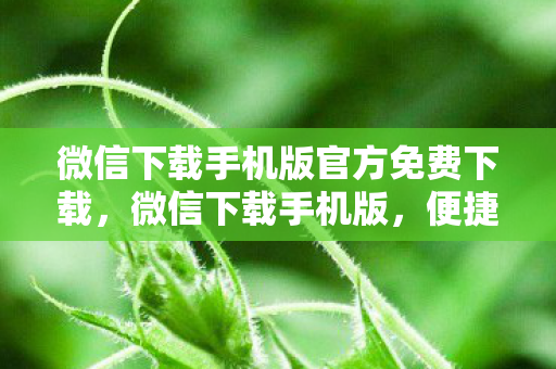 微信下载手机版官方免费下载，微信下载手机版，便捷沟通，尽享数字生活新体验