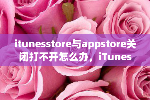 itunesstore与appstore关闭打不开怎么办，iTunes Store与App Store关闭打不开，原因分析与解决策略