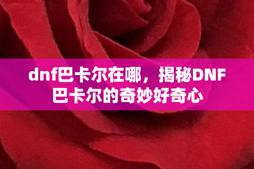 dnf巴卡尔在哪，揭秘DNF巴卡尔的奇妙好奇心