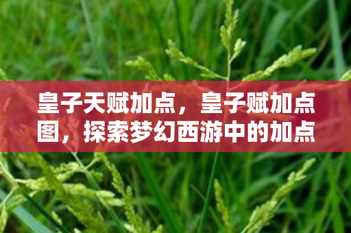 皇子天赋加点，皇子赋加点图，探索梦幻西游中的加点策略