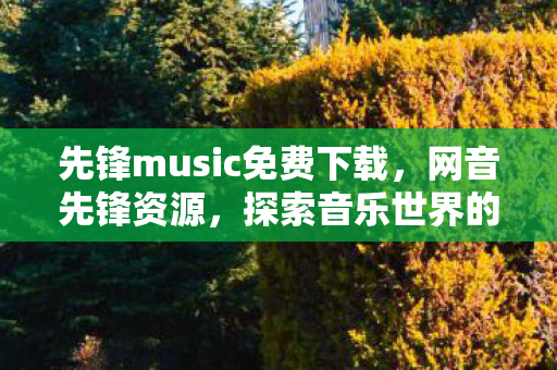 先锋music免费下载,网音先锋资源,探索音乐世界的无限可能 先锋music免费下载,网音先锋资源,探索音乐世界的无限可能