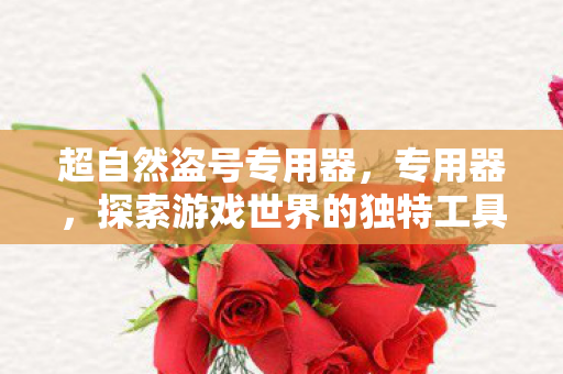 超自然盗号专用器,专用器,探索游戏世界的独特工具 超自然盗号专用器,专用器,探索游戏世界的独特工具