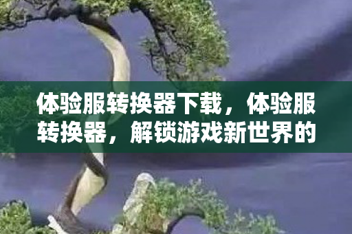 体验服转换器下载,体验服转换器,解锁游戏新世界的钥匙 体验服转换器下载,体验服转换器,解锁游戏新世界的钥匙