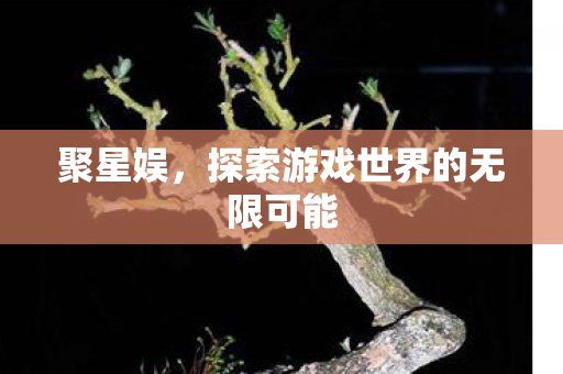 聚星娱,探索游戏世界的无限可能 聚星娱,探索游戏世界的无限可能