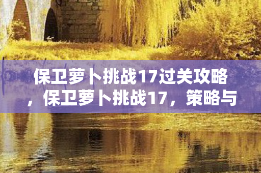 保卫萝卜挑战17过关攻略，保卫萝卜挑战17，策略与智慧的双重考验
