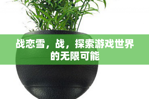 战恋雪，战，探索游戏世界的无限可能