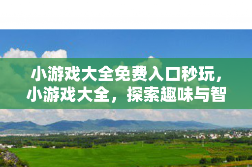 小游戏大全免费入口秒玩，小游戏大全，探索趣味与智慧的无限可能