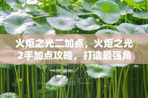 火炬之光二加点，火炬之光2手加点攻略，打造最强角色