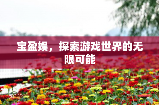 宝盈娱,探索游戏世界的无限可能 宝盈娱,探索游戏世界的无限可能
