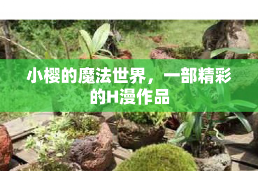 小樱的魔法世界,一部精彩的H漫作品 小樱的魔法世界,一部精彩的H漫作品
