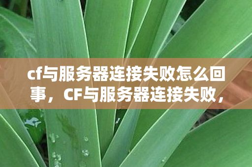 cf与服务器连接失败怎么回事,CF与服务器连接失败,深度解析背后的原因及解决方案 cf与服务器连接失败怎么回事,CF与服务器连接失败,深度解析背后的原因及解决方案